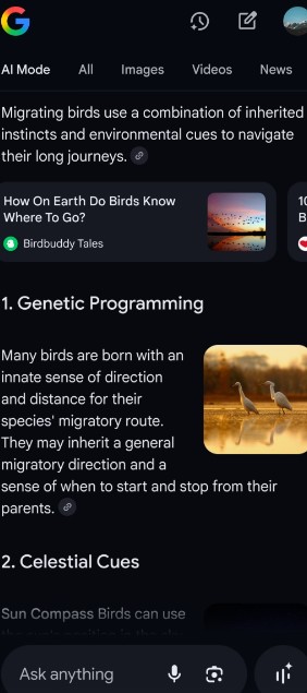Ausschnitt Darstellung AI Mode von Google